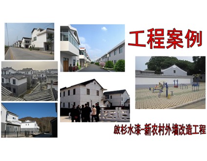 新农村外墙改造工程